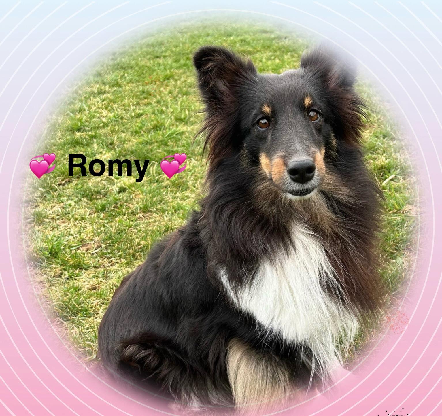 Romy1 400