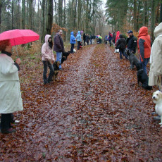 2007 Adventsfeier0045