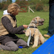 Doktorspiel 21 09 08 003