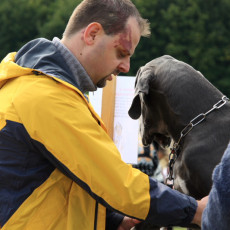 Doktorspiel 21 09 08 008