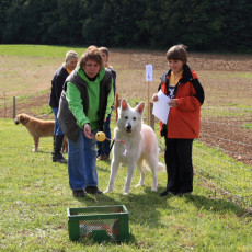 Korbspiel 21 09 08 005