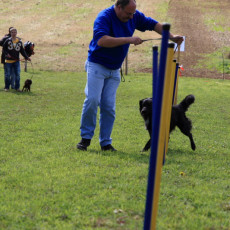 20m Slalom 21 09 08 004