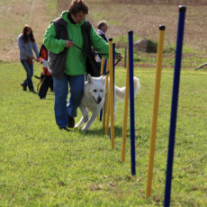 20m Slalom 21 09 08 006