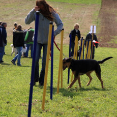 20m Slalom 21 09 08 007