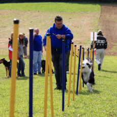 20m Slalom 21 09 08 012