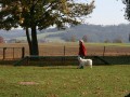 2008 10 18 Teamtest klein 0071