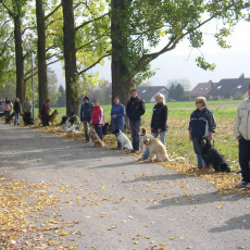 Teamtest HSV 20070014