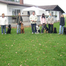 Teamtest HSV 20070017