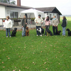 Teamtest HSV 20070018