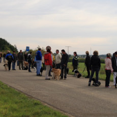 02 Spaziergang 21 09 08 02