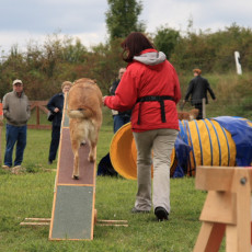 Gruppe3 21.09.2008 14 58 47