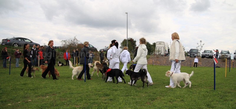 Gruppe4 Quadrille 21 09 08 002 21.09.2008 15 03 47