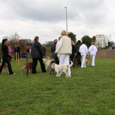 Gruppe4 Quadrille 21 09 08 002 21.09.2008 15 04 37