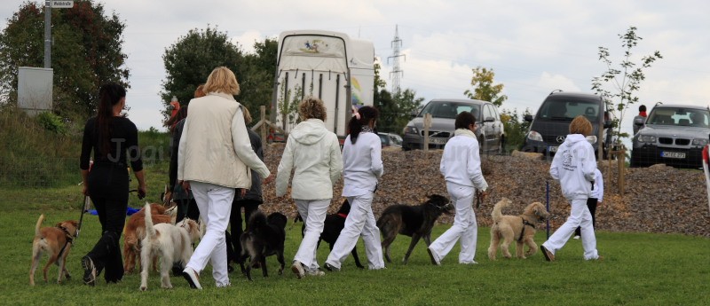 Gruppe4 Quadrille 21 09 08 002 21.09.2008 15 04 41