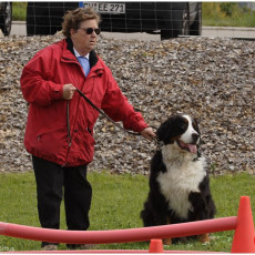 2008 SF Dittus 029 0