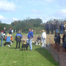 Sommerfest 2008 i 014