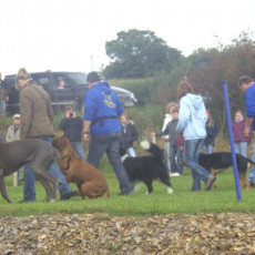 Sommerfest 2008 i 019