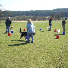 06 04 08 Sonnentraining0004 i