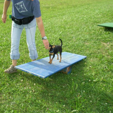 Uschi s Vormittagsgruppe0035 i