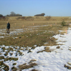 2006 02 03 Abstecken der Geb  ude001i