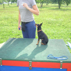 Uschi s Vormittagsgruppe0032 i