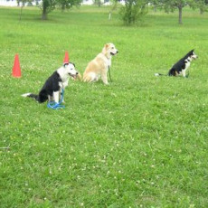 normal 2006 Unser Training0001 i