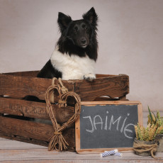 Jaimie1