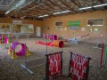Jogis Hundeschule 015