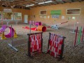 Jogis Hundeschule 016